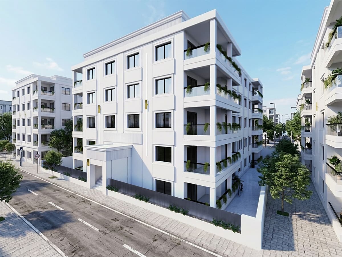 لمحة من المشروع 1