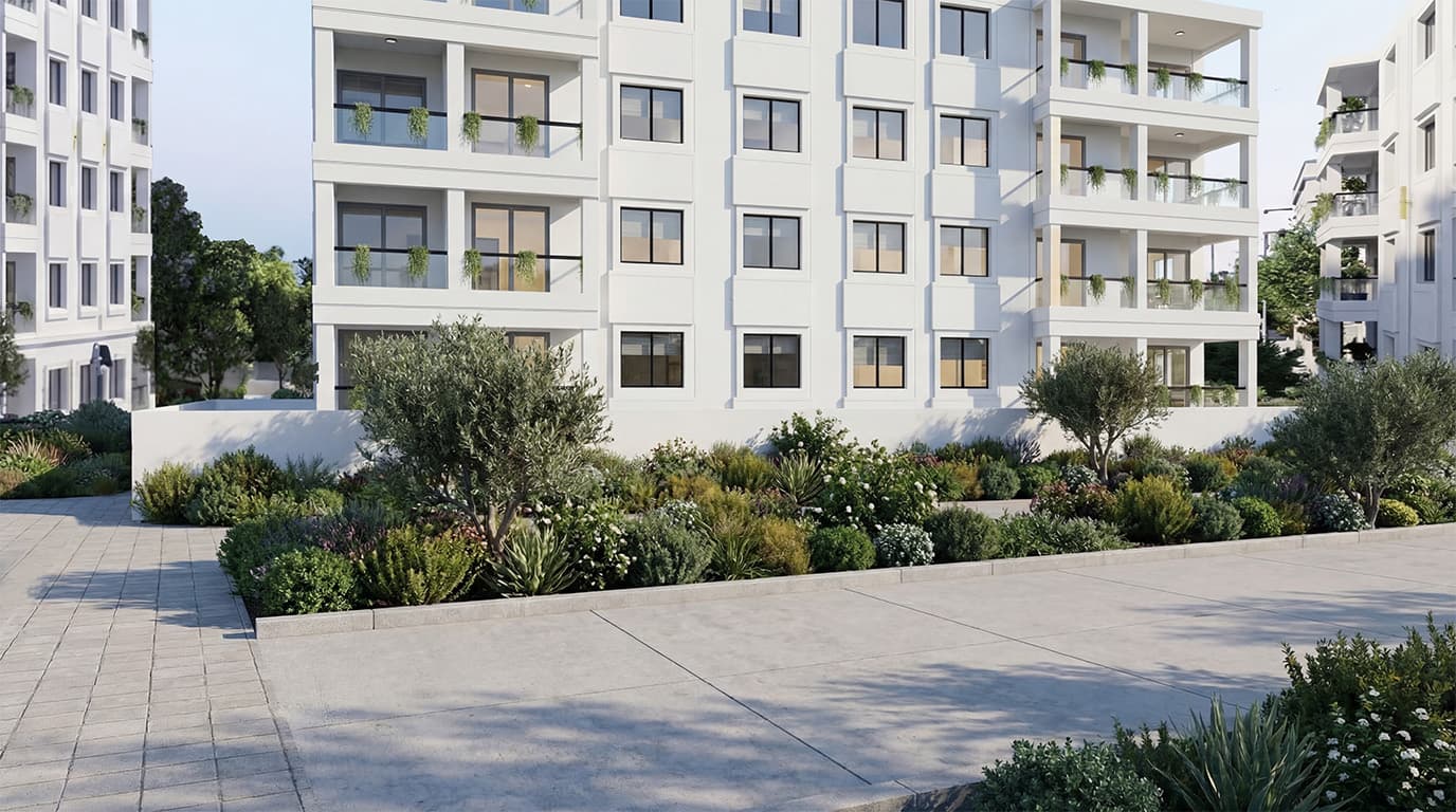 لمحة من المشروع 2